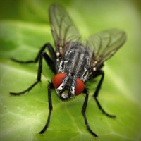 /album/na-kopecku-/photolia-a01-jpg/