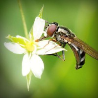 /album/na-kopecku-/photolia-a02-jpg/