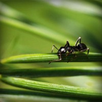 /album/na-kopecku-/photolia-a05-jpg/