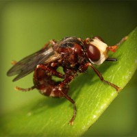 /album/na-kopecku-/photolia-a06-jpg/