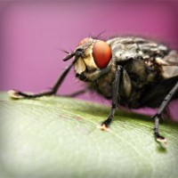 /album/na-kopecku-/photolia-a08-jpg/